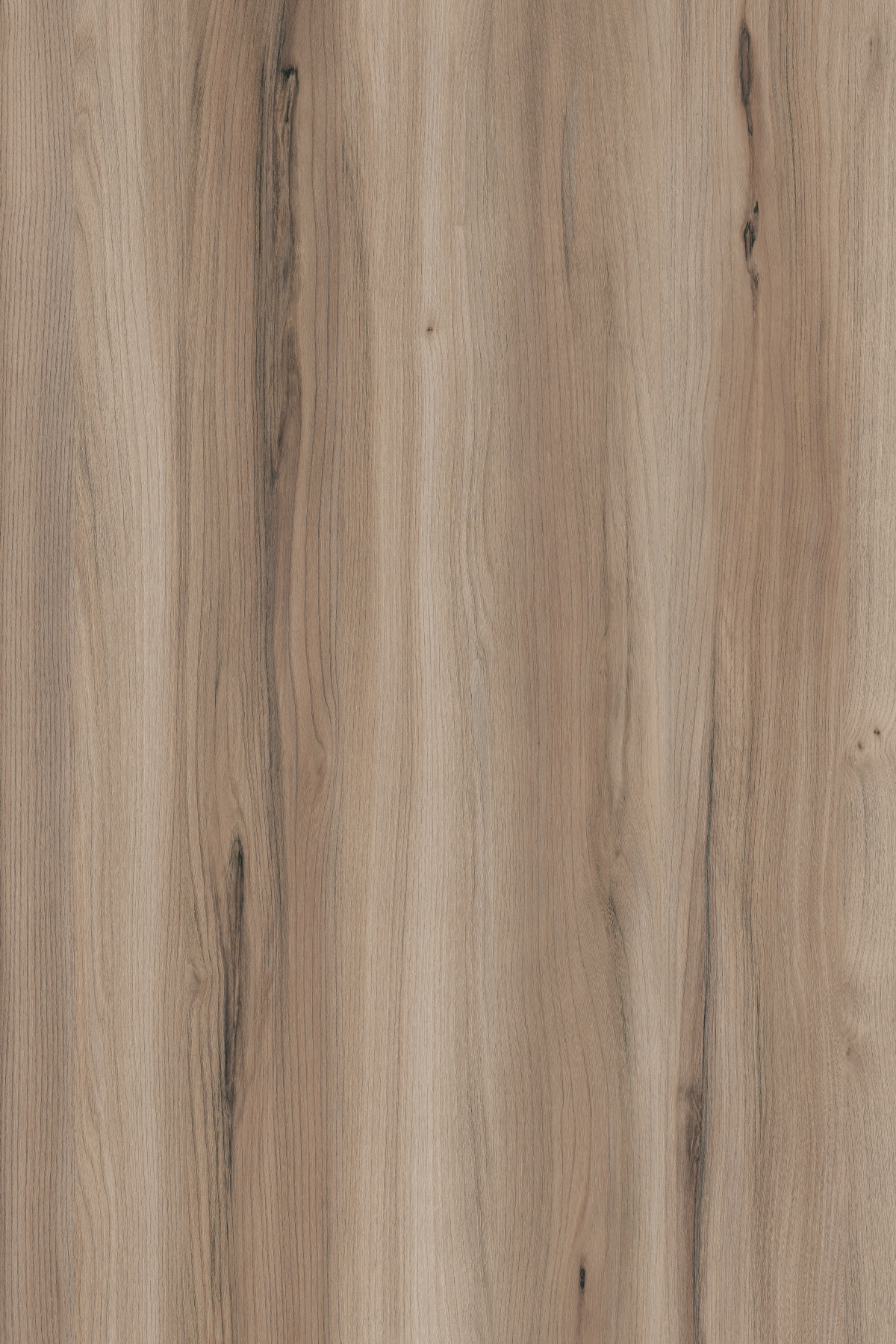 NATURAL AURORA ELM