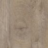 Raw Endgrain Oak Sample