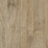 K361_Gold Harbor Oak sample