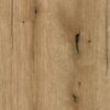 K365_Coast Evoke Oak sample