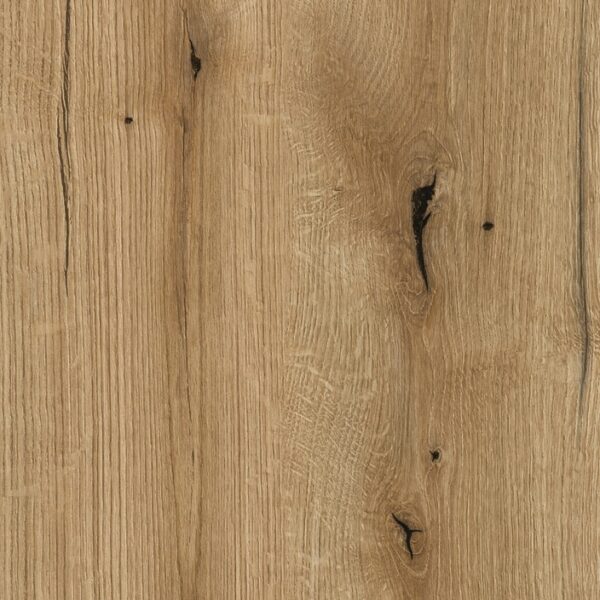 K365_Coast Evoke Oak sample