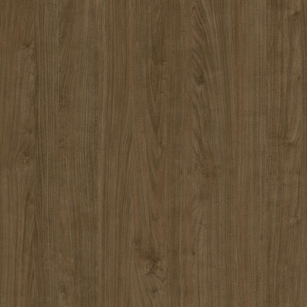 Lakeland Walnut Cocoa Sample