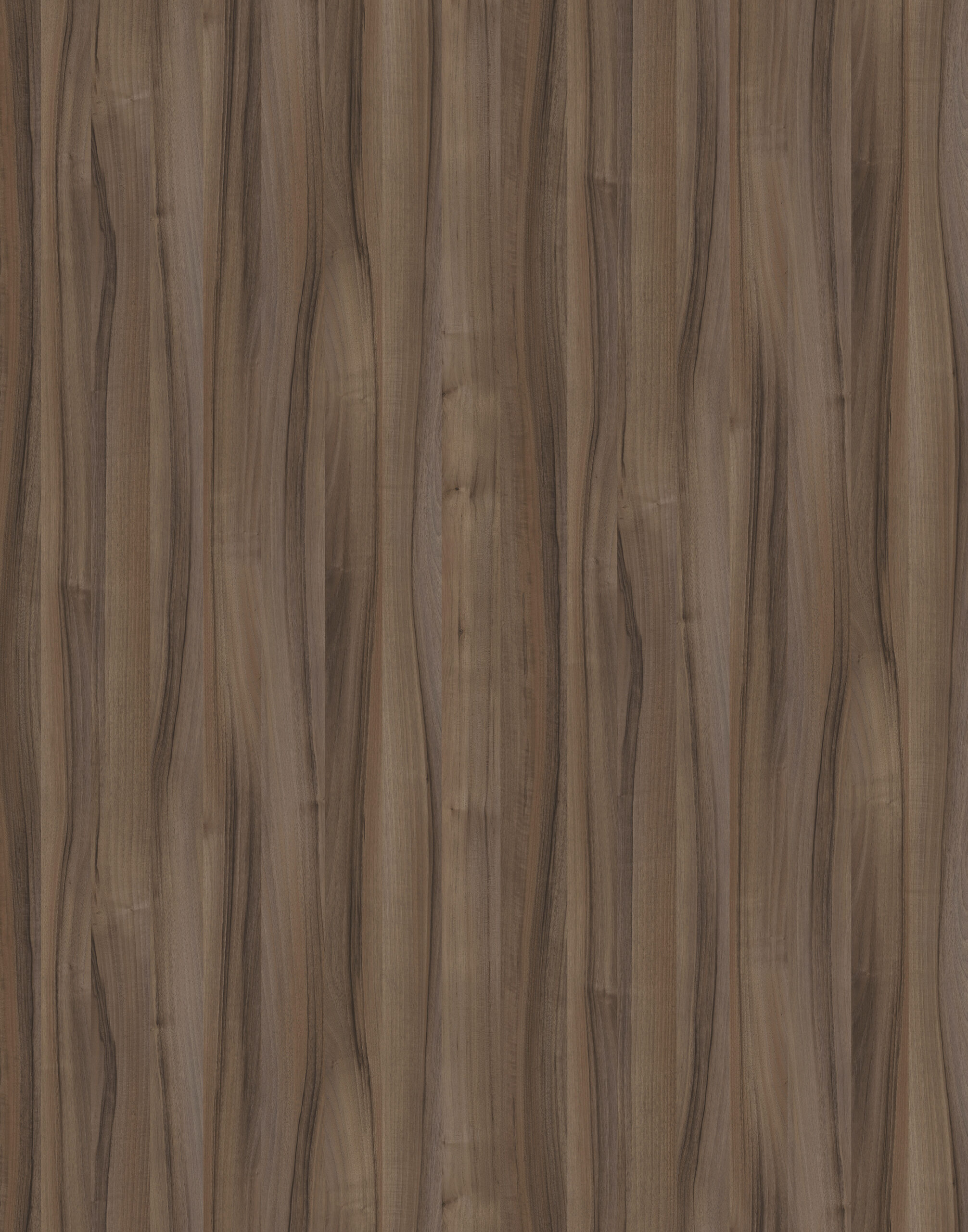 Kronospan boards USA TIEPOLO WALNUT buy, california available in stock. Modern cabinets, closets and furniture components