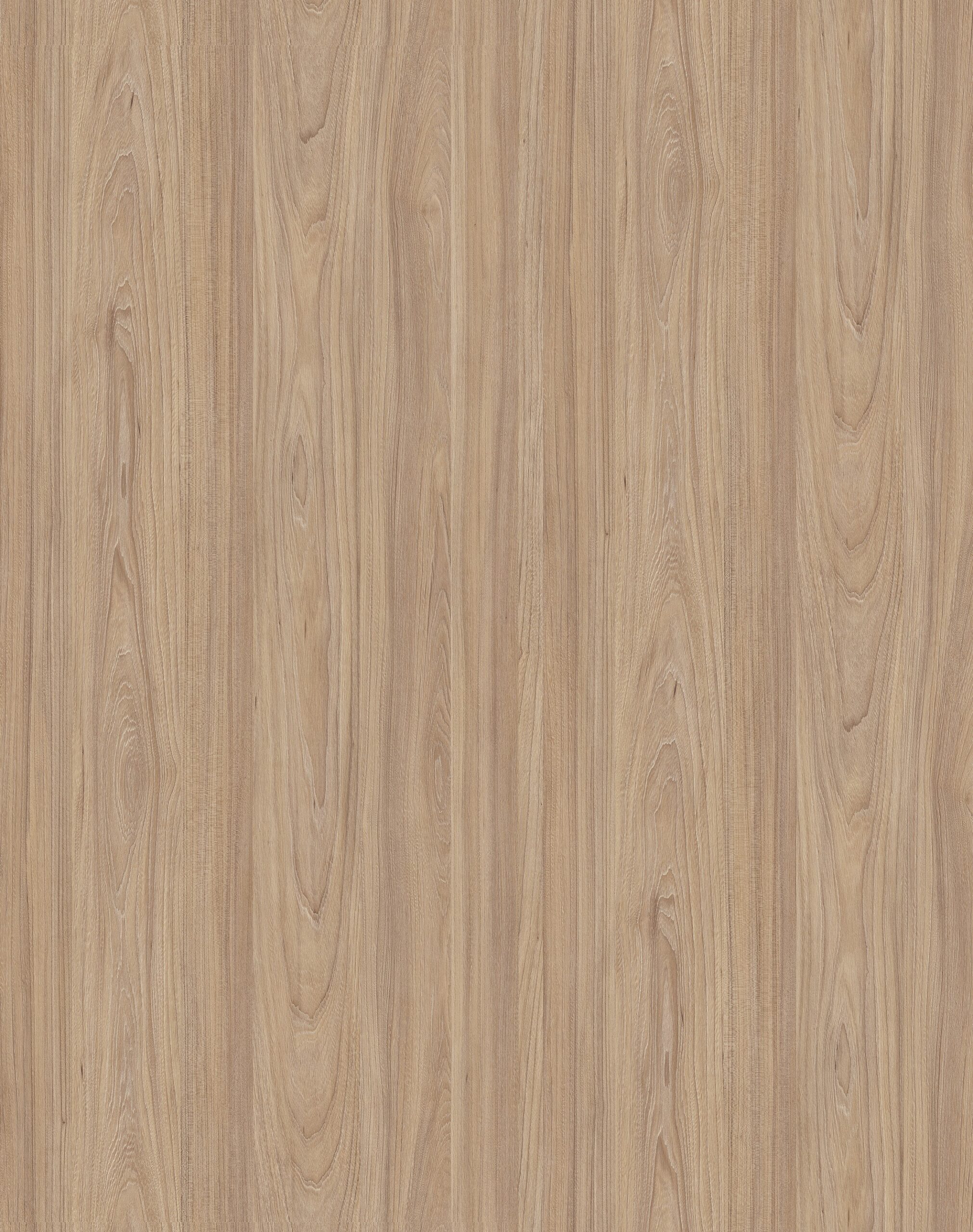 Kronospan boards USA NATURAL NOBLE ELM buy, california available in stock. Modern cabinets, closets and furniture components