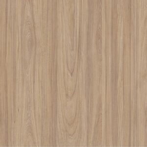 Natural Noble elm sample