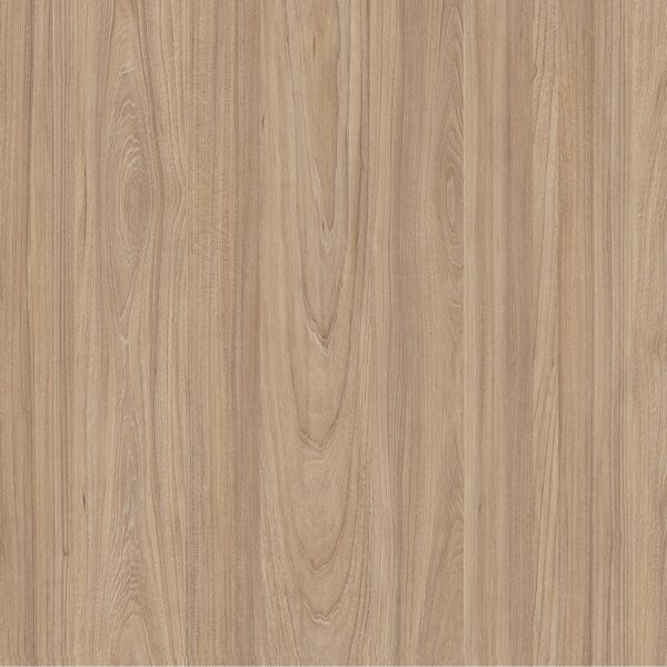 Natural Noble elm sample